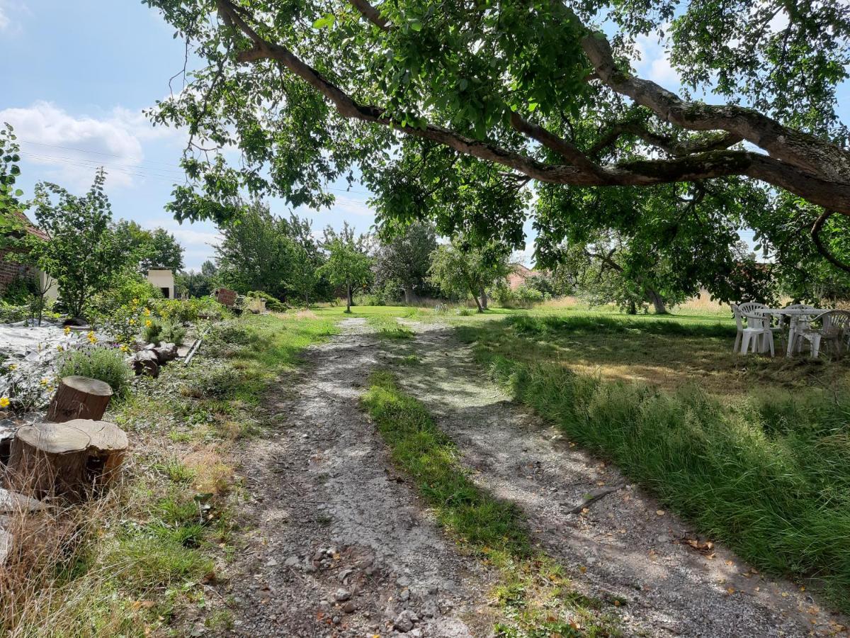 Le Domaine Des Anges Guest House Wavrans-sur-l'Aa Luaran gambar