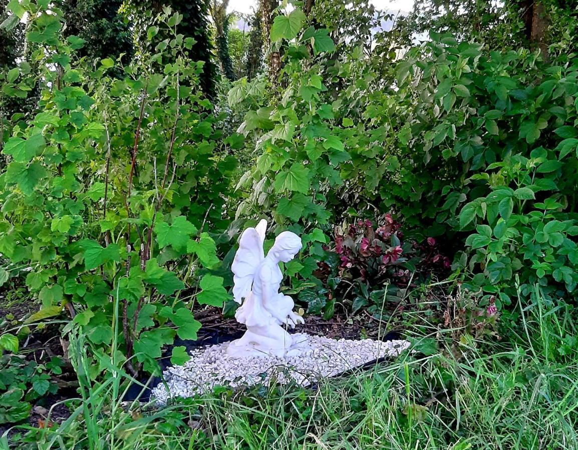 Le Domaine Des Anges Guest House Wavrans-sur-l'Aa Luaran gambar