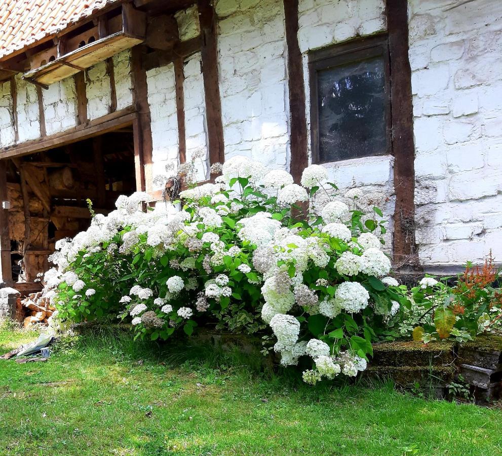 Le Domaine Des Anges Guest House Wavrans-sur-l'Aa Luaran gambar