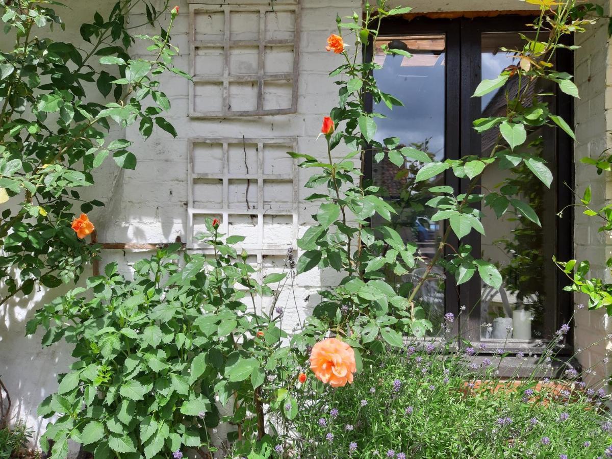 Le Domaine Des Anges Guest House Wavrans-sur-l'Aa Luaran gambar
